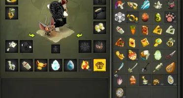 Conta dofus eca 200 com set (full exos)