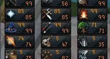 Conta Runescape 9 lvl's 99
