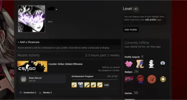 Conta Steam com CS GO Level 19 GC Supremo