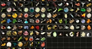 Enu 190 Brutas + Guilda lv.32 + 72 montarias