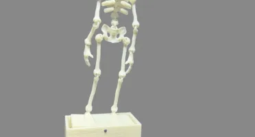 Esqueleto Dançante Decorativo para Aquário em PETG