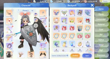 Ragnarok Origin Br2