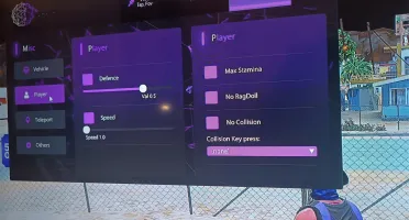 MOD MENU FIVEMmo