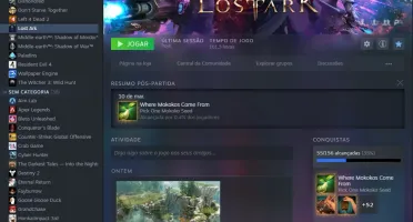 conta steam com varios jogos pagos no lost ark tem 3 char lv