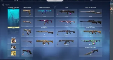 CONTA VALORANT MUITAS SKINS