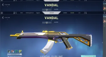 CONTA VALORANT MUITAS SKINS
