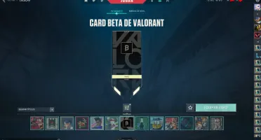 Conta RIOT com contas de Valorant e League of Legends.
