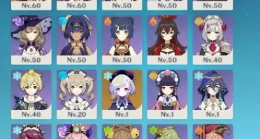 Ayaka + Bis Shenhe + Bis Banner Personagem Garantido
