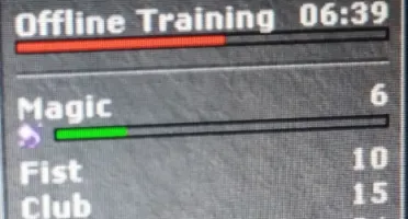 Elite Knight - Skills 100 +