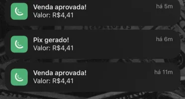 Primeira Venda Na Kiwify