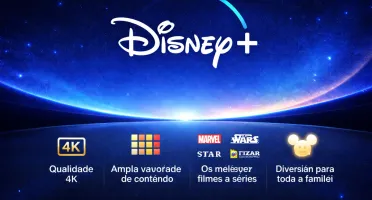Disney/Netflix - 30 Dias