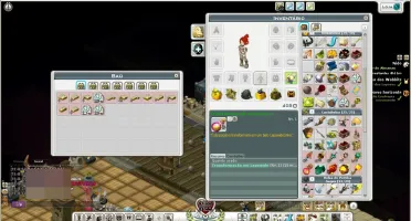 Conta WAKFU com 4 personagens (EFRIM).