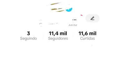 Conta no tiktok com mais de 11mil seguidores monetizando