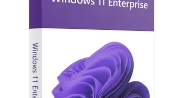 Windows 11 Pro