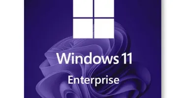 Windows 11 Pro