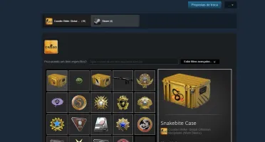 Conta steam com 14 medalhas