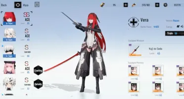Punishing gray raven, colab nier automata(noth america) 2B