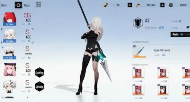 Punishing gray raven, colab nier automata(noth america) 2B
