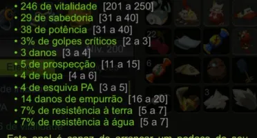 Set de sorte lvl 200 Full pvp server Blair, Dofus touch