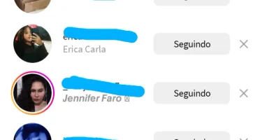 Instagram conta seguidores misto no precinho