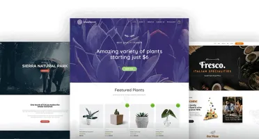 tema Astra PRO + plugin