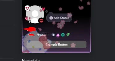 Conta Discord 2016 Pomelo, Hellokitty Nitro Trimensal