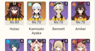 Kazuha+Hutao+Raiden+Ayaka+2 armas T5
