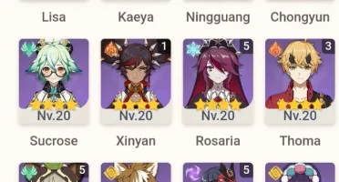 Kazuha+Hutao+Raiden+Ayaka+2 armas T5
