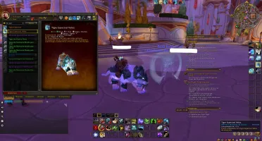 Conta World of Warcraft com 10 TCG / 571 montarias