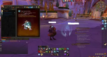 Conta World of Warcraft com 10 TCG / 571 montarias