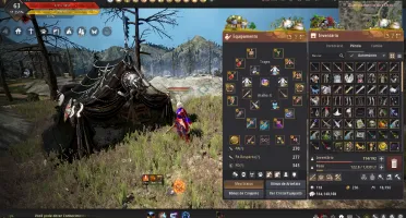 Conta Bdo