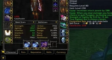 Rogue full best pvp wowbr