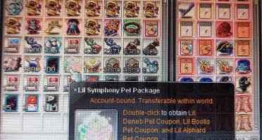 Conta Jett 250 maplestory