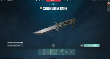 FA Valorant Diamante 2 com skins