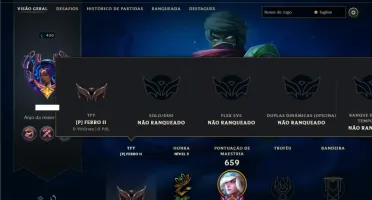 Unranked com TODOS os champs e 169 Skins ( ADC / SUP )