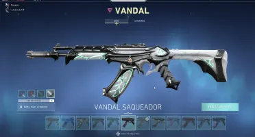 Conta Valorant (Platina) + 1,6k gastos