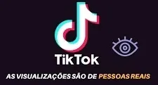 Gerador de visualização pro tik tok