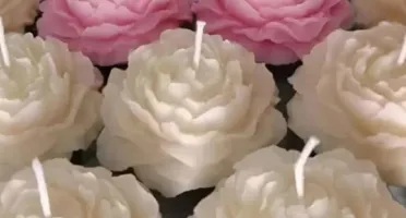 Vela Aromática Peônia 60g