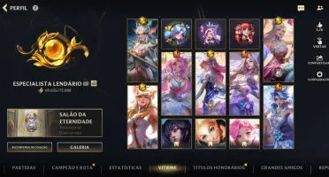 Conta Wild Rift 421 skins