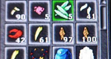 Royal Paladin 493 NonPVP