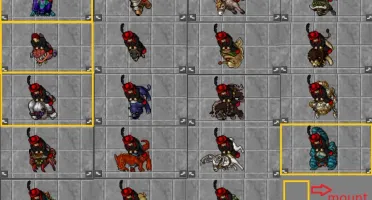 Royal Paladin 493 NonPVP