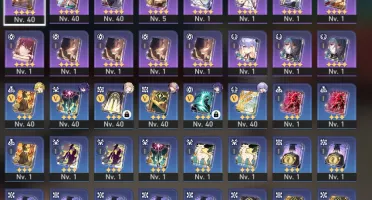 Star Rail / Seele + Bailu / Lvl 28