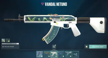 Conta valorant