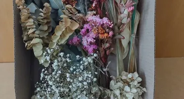 Caixa de Flores e Folhagens Desidratadas - 15 Espécies