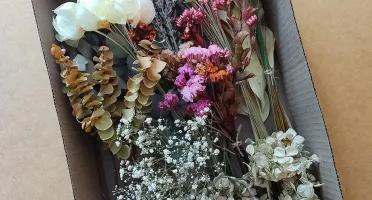 Caixa de Flores e Folhagens Desidratadas - 15 Espécies
