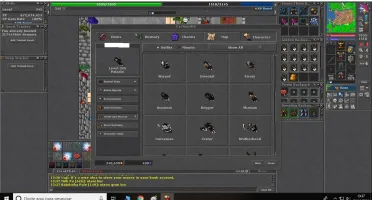Royal Paladin lv 345 skill 117 na barra