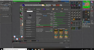 Royal Paladin lv 345 skill 117 na barra