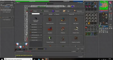 Royal Paladin lv 345 skill 117 na barra