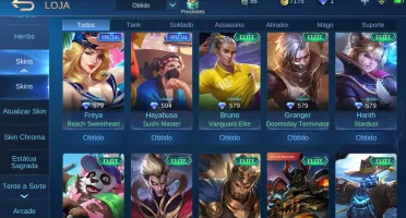 CONTA MLBB PARADA A MESES - 117 SKINS