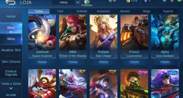 CONTA MLBB PARADA A MESES - 117 SKINS